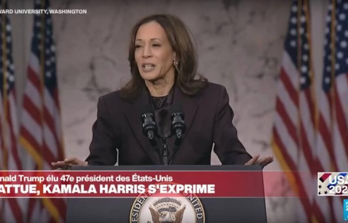 Kamala Harris, picchiata perché donna? La teoria del risveglio di France 5