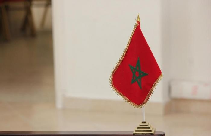 Commercio francese di cereali: quali conclusioni si possono trarre dall’incontro ufficiale Francia-Marocco?