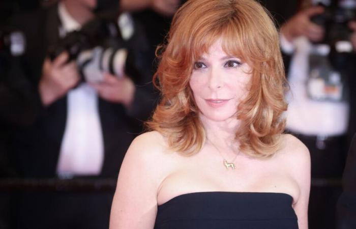 “La regina Mylène Farmer è qui! »: la cantante fa un'apparizione a sorpresa al Grand Rex di Parigi