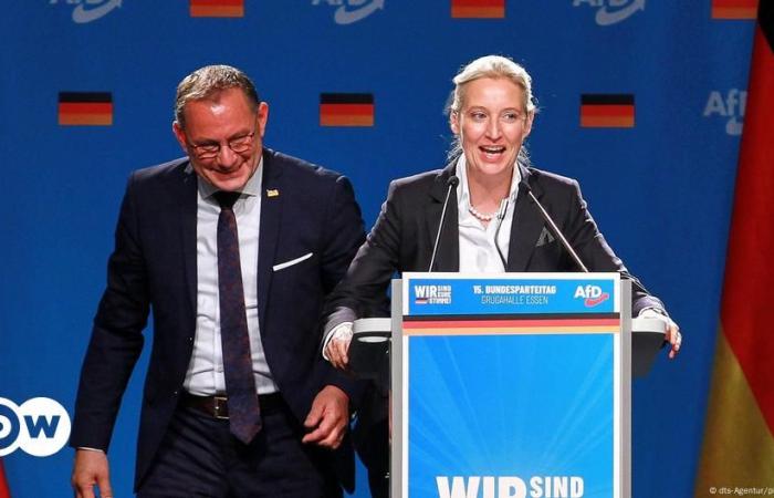 In Germania preme l’AfD per Elezioni Anticipate – DW – 08.11.2024