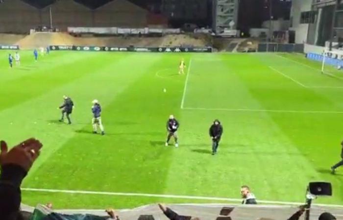 VIDEO. Ligue 2: la partita tra Stella Rossa e Troyes interrotta per un lancio di palline da tennis in campo