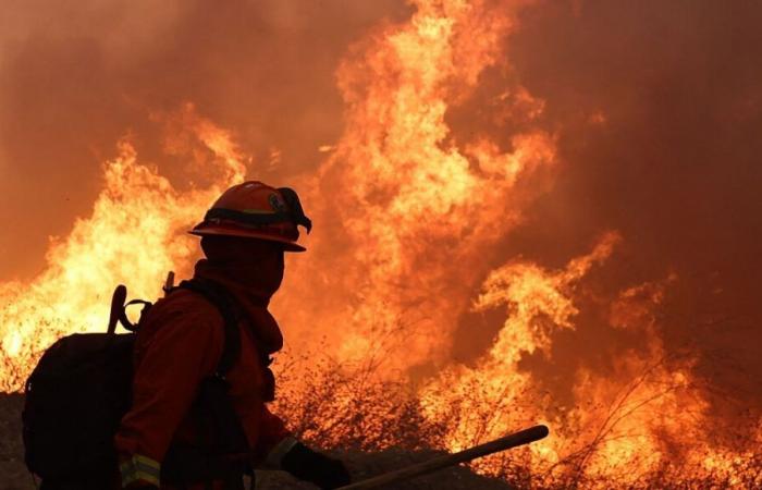 California in fiamme, Donald Trump minaccia di sospendere gli aiuti statali per le catastrofi