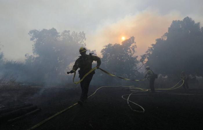 Incendio a Los Angeles: oltre 8.300 ettari bruciati, case distrutte e migliaia evacuate