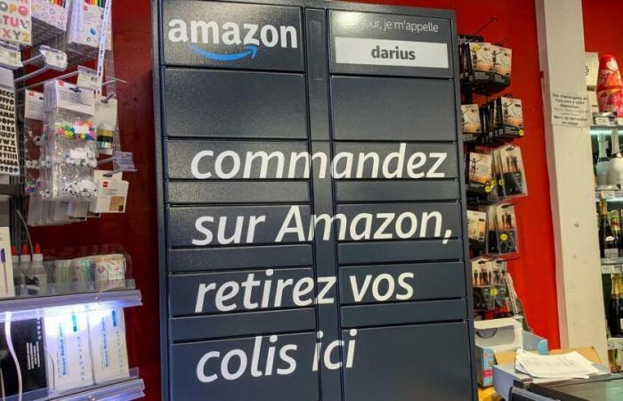 I librai sono preoccupati per lo stratagemma di Amazon di rendere gratuita la consegna dei libri