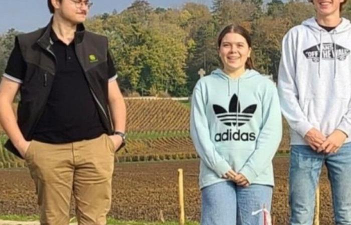 “Questo albero sarà il loro confidente”: i bambini malati di cancro pianteranno una “foresta di stelle” nella Marna