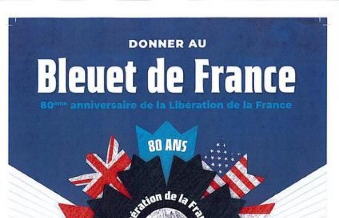 Campagna nazionale Bleuet de France – 11 novembre 2024 – Attualità