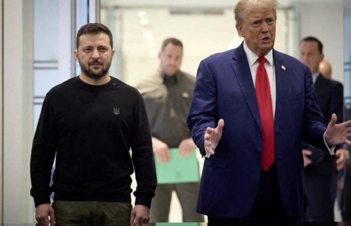 Elon Musk ha partecipato a una chiamata tra Donald Trump e Volodymyr Zelenskyj