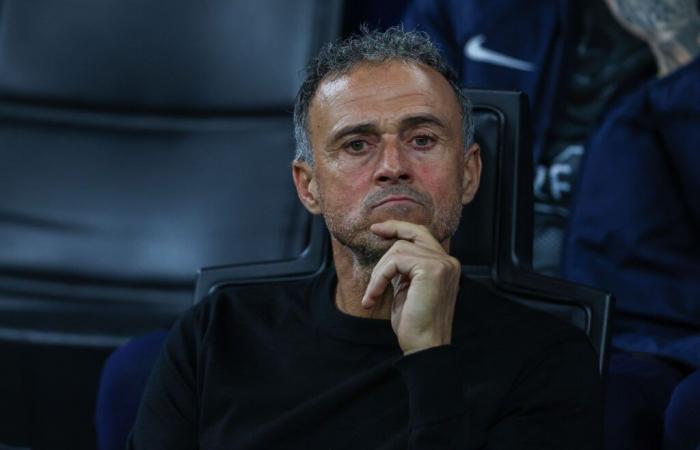 Luis Enrique: verso uno scontro tra PSG e Qatar?