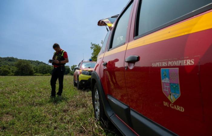 [VIDÉO] Gard: i vigili del fuoco salvano un cane bloccato sottoterra da 24 ore: ecco il video del salvataggio! – Notizie – Gard – Varie