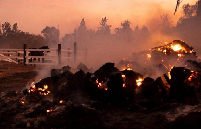 In California, i vigili del fuoco stanno ancora lottando contro un incendio distruttivo vicino a Los Angeles