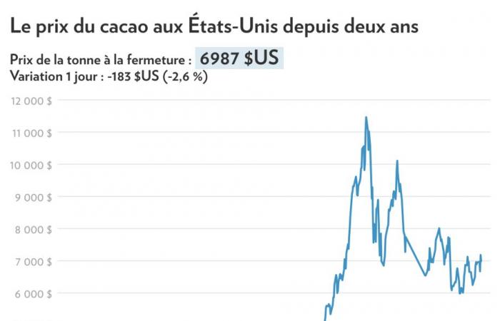 Spettacolo del cioccolato di Montreal | Fa bene al morale