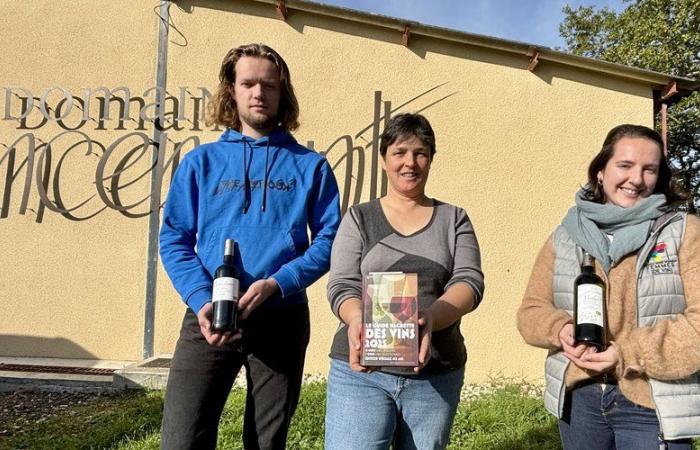 Guida dei vini Hachette: un vino biologico “preferito” del Lot-et-Garonne dell'edizione 2025