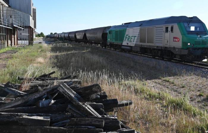 perché la questione Fret SNCF fa incazzare i sindacati