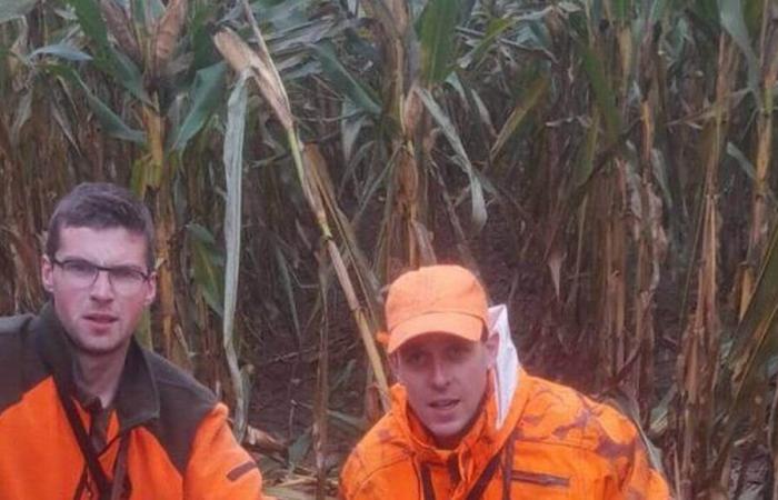 Un cinghiale di 178 kg ucciso a Neau questo sabato 9 novembre