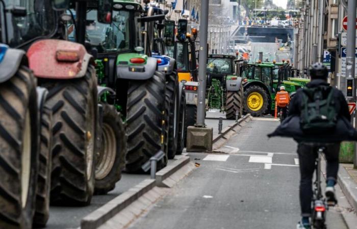 “La tazza è di nuovo piena”: i giovani agricoltori si sono attivati ​​sulle strade della Vallonia