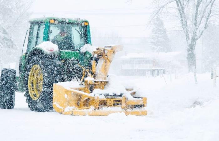 Contratto sgombero neve: ecco cosa deve contenere il contratto con la tua impresa di sgombero neve