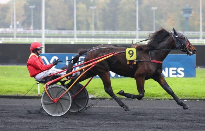 Lovely du Vallon vince con Mathieu Mottier a Vincennes