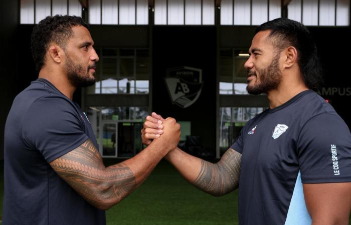 Rugby. Tuilagi e Habel-Küffner, i samoani di Aviron Bayonnais, decifrano i loro tatuaggi per “Raffut”