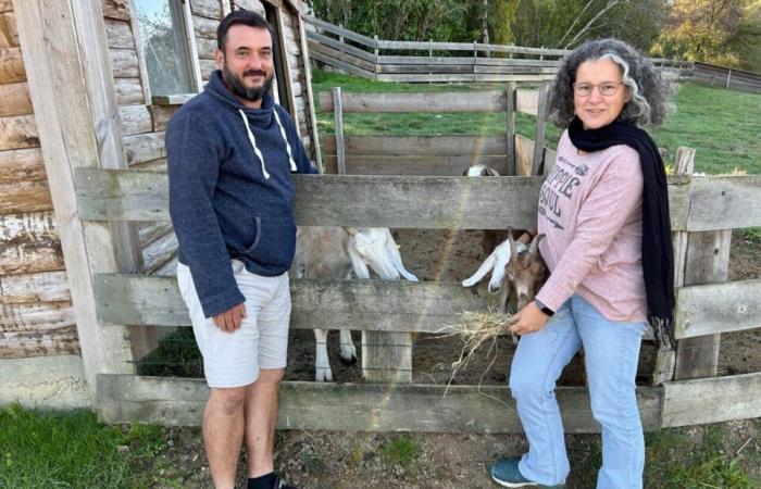 Questo direttore di un parco del Lot-et-Garonne racconta la dura realtà della professione di custode di animali