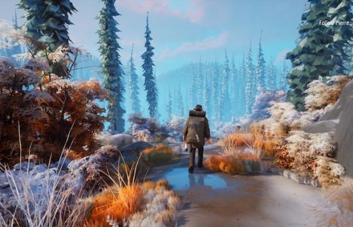 Il lato inferiore di Two Falls, il primo videogioco narrativo del Quebec da un punto di vista indigeno