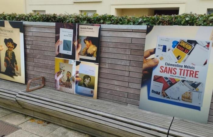 Saint-Sébastien-sur-Loire. Cento titoli di libri deviati per scoprire l’Allée d’Anjou