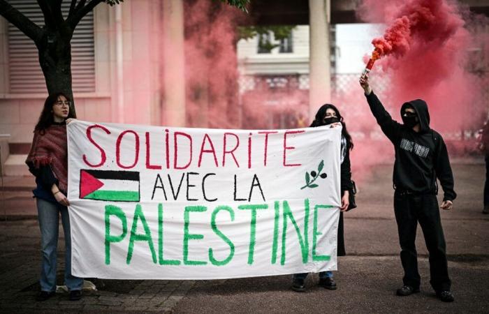 Lione: sabato una nuova manifestazione a sostegno del popolo palestinese e libanese