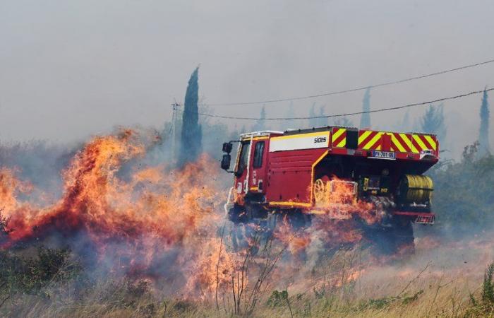 Per migliorare la coesione all'interno della sua caserma dei vigili del fuoco ed evitare tagli al budget: un ex capo dei vigili del fuoco accende sei incendi boschivi