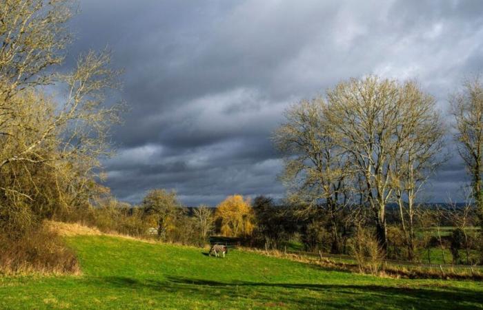 Meteo: cielo grigio, rovesci, sole sulle sponde del Mediterraneo, cosa aspettarsi per questo fine settimana dell’11 novembre?