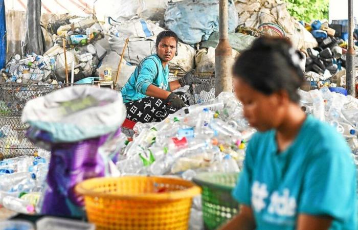 L’inquinamento da plastica mette a rischio la nostra salute