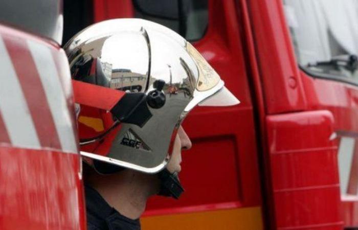 “Puliti” e “ben curati”: i vigili del fuoco dovranno radersi la barba se vorranno tornare al lavoro, secondo il Consiglio di Stato