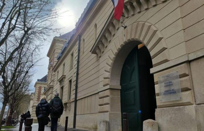 Yvelines: vende droga per saldare i suoi debiti e dopo 3 giorni si becca un anno di prigione