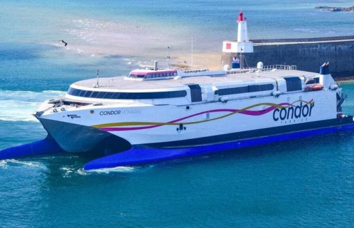 Compagnia Brittany Ferries “sorpresa e delusa”