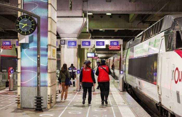 SNCF liberata per la morte di Neko, gatto schiacciato dal treno