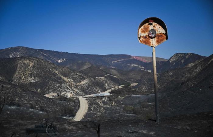 Nelle immagini. I vigili del fuoco guadagnano terreno in un incendio distruttivo vicino a Los Angeles