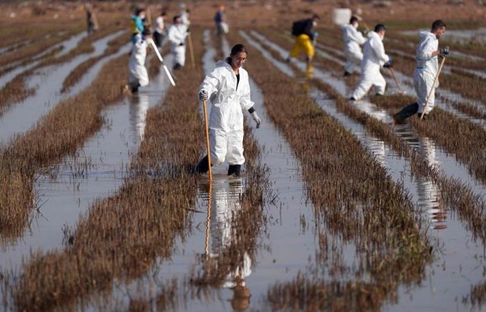 Inondazioni in Spagna | Le autorità sono preoccupate per i rischi per la salute