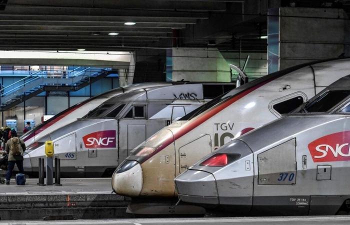 Tutti i sindacati chiedono uno sciopero a tempo indeterminato a partire dall'11 dicembre contro lo smantellamento della filiale del trasporto merci