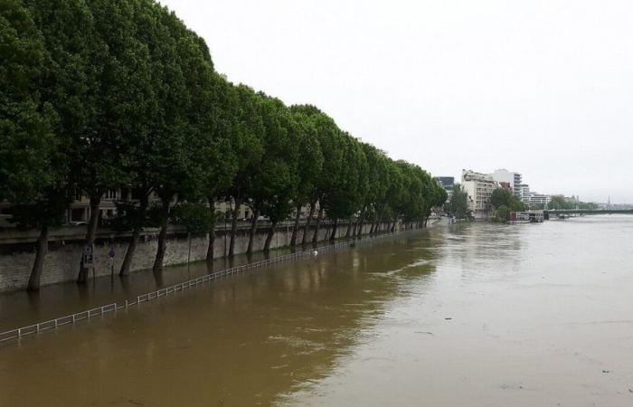 Il municipio di Parigi sensibilizzerà i residenti sul rischio di inondazioni in caso di piena della Senna