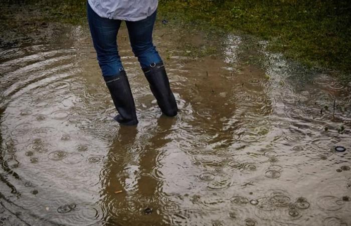 ecco l’unico dipartimento messo in vigilanza arancione questo sabato