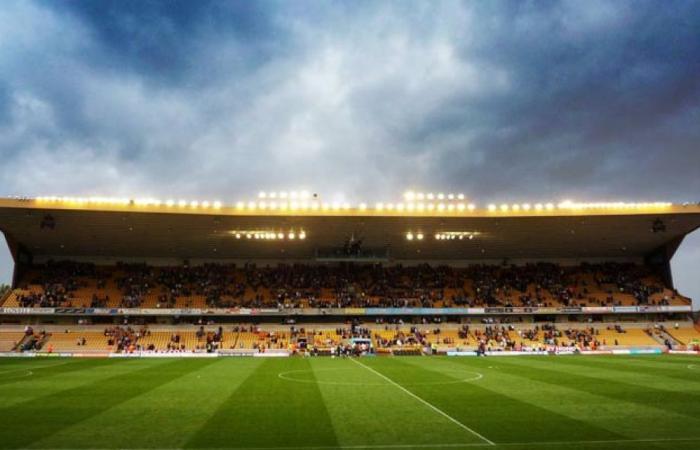 DIRETTO. Wolverhampton-Southampton (Premier League 2024-2025) da seguire in diretta