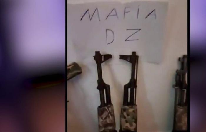 la strategia della mafia DZ per regnare sul narcotraffico marsigliese