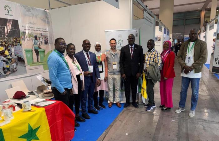 Green economy: uno sguardo alla partecipazione senegalese a Ecomondo 2024 – VivAfrik