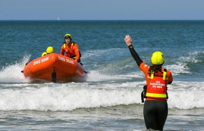 bagnini di mare interessati a monitorare sempre più spiagge