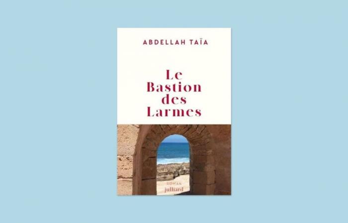 Un ragazzo come nessun altro: recensione di “Bastion of Tears”, di Abdellah Taïa