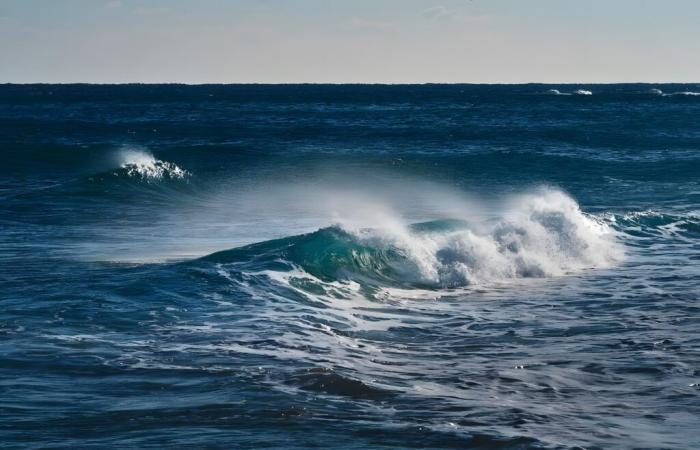 Scoperta dell'ossigeno nero negli oceani: dobbiamo preoccuparci?