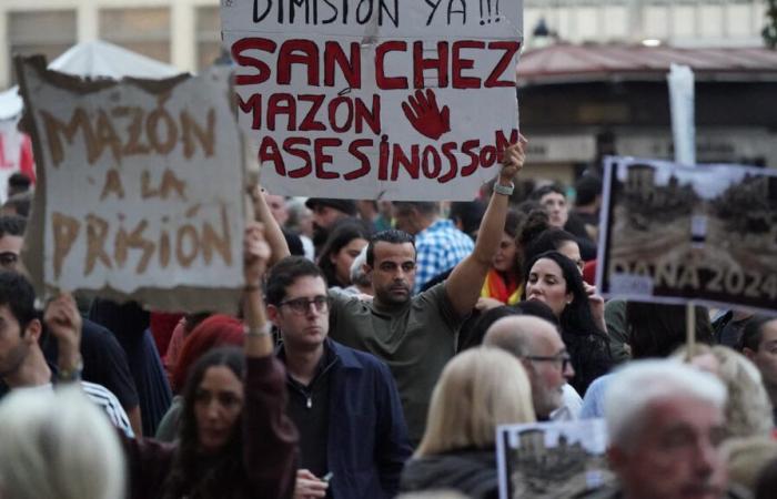 una manifestazione organizzata a Valencia contro l'inerzia delle autorità