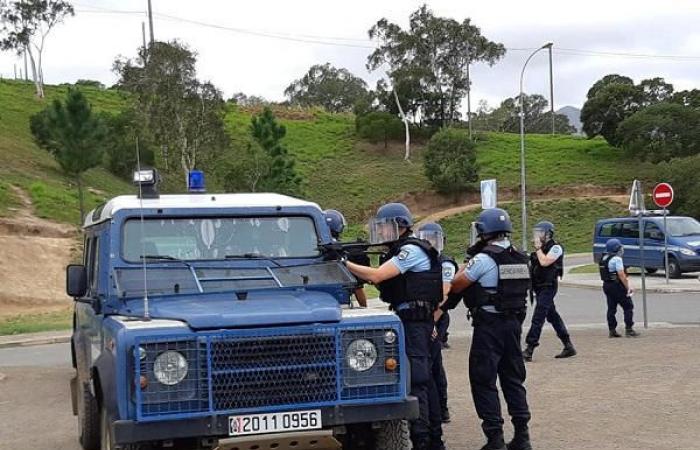 La sanzione ecologica “grava” il budget della Gendarmeria dedicato all’acquisto di nuovi veicoli