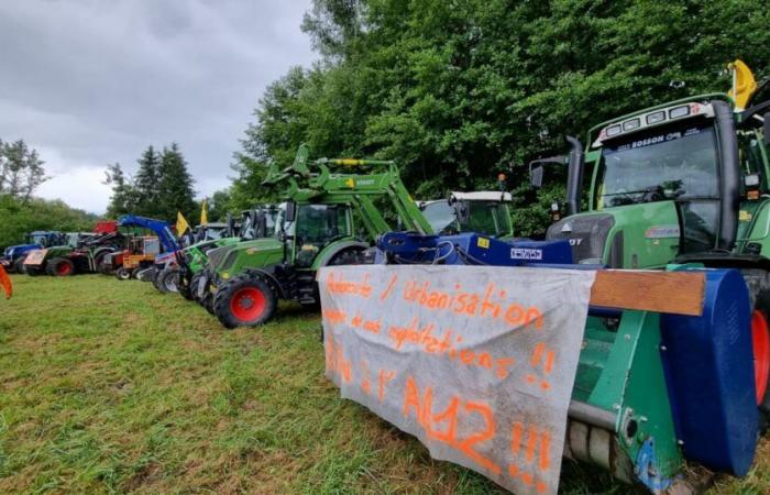 Alta Savoia. Contro il progetto A412 due cooperative lattiero-casearie dello Chablais uniscono le forze