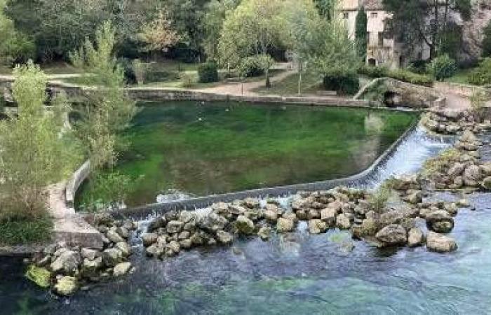 Gli ambientalisti della Provenza lanciano una “S.EAU.S”