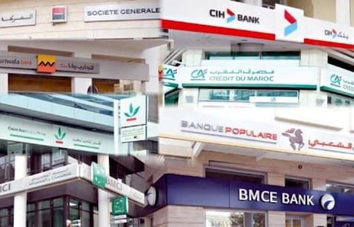 La BEI si compiace della solidità del sistema bancario marocchino | APAnews