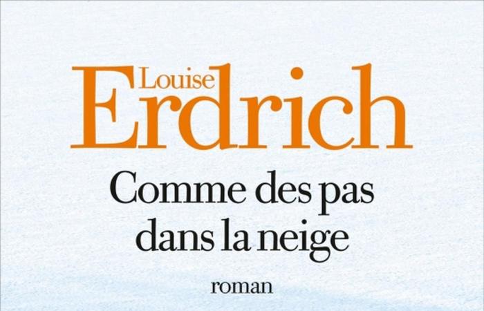 Louise Erdrich, la fantascienza di Catherine Dufour, i fantasmi di Visconti, i naufragi di Tangvald… La scelta dei libri “Sud Ouest”